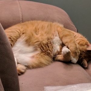 Meet your Posher, Judy